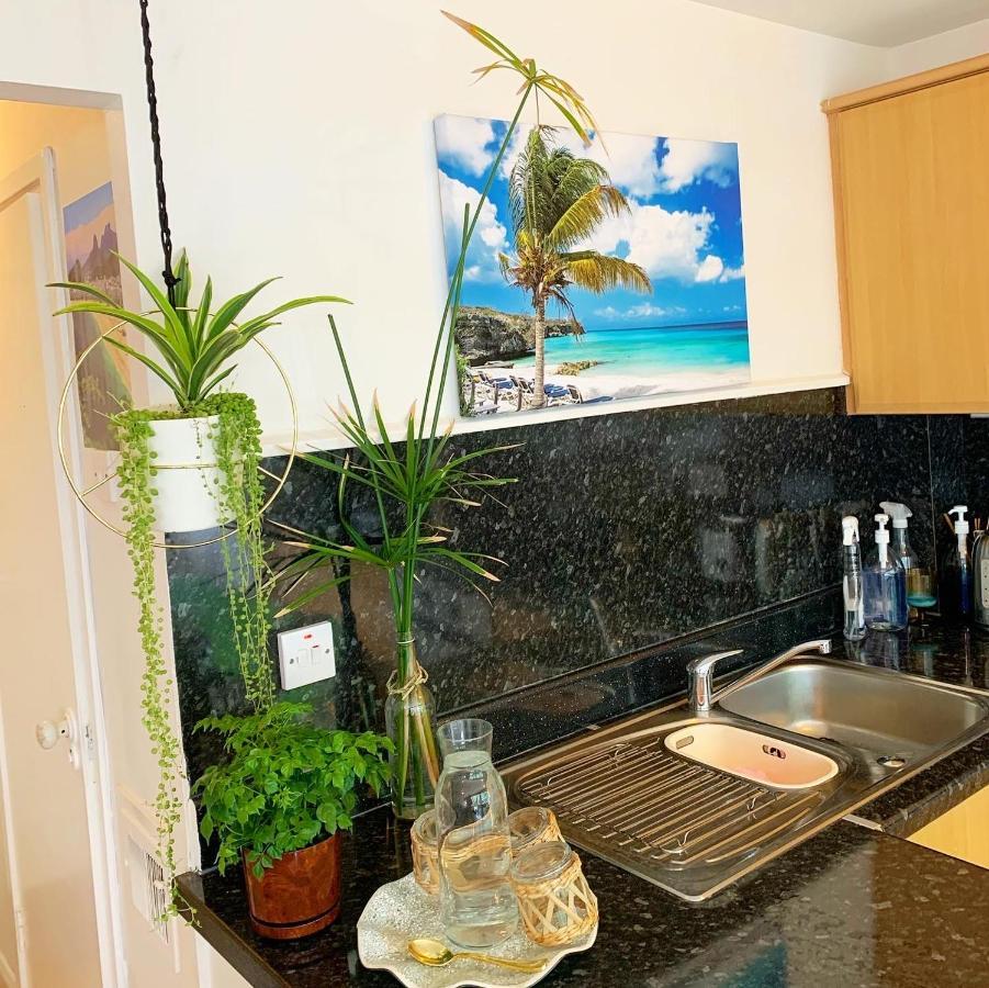 Garden Beautiful Cozy Flat , Recent Decorated. Apartamento Londres Exterior foto