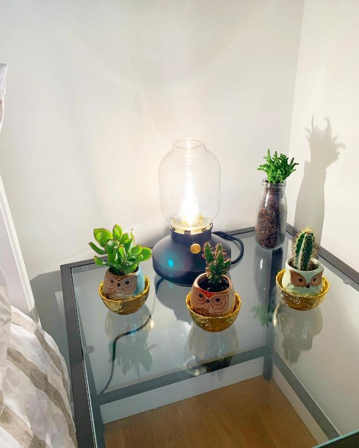 Garden Beautiful Cozy Flat , Recent Decorated. Apartamento Londres Exterior foto