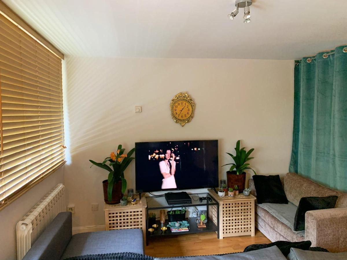 Garden Beautiful Cozy Flat , Recent Decorated. Apartamento Londres Exterior foto